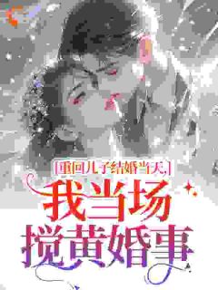 (精品)重回儿子结婚当天，我当场搅黄婚事小说
