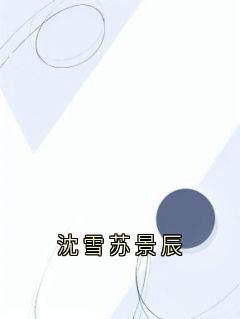 沈雪苏景辰
