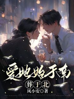 (精品)爱她始于南，葬于北小说
