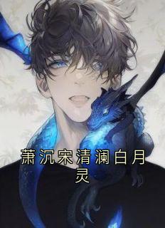良心推荐萧沉宋清澜白月灵小说试读
