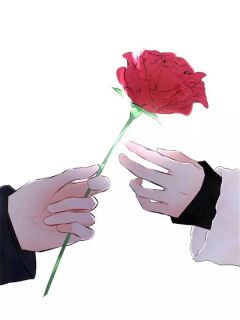 抖音爆款《重回八零，假离婚成真后他慌了》沈知夏程砚无广告阅读

