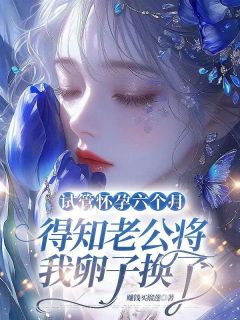 清羽季泊淮全本章节在线阅读大结局
