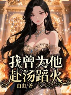 (精品)我曾为他赴汤蹈火小说
