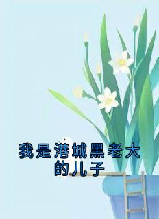 我是港城黑老大的儿子