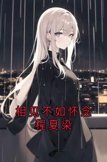 相见不如怀念程夏染
