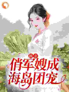爆款小说渣男被抢后，小娇妻随军上海岛-主角姜羽衫萧逸山在线阅读
