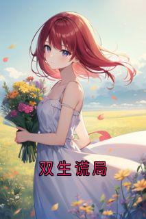 双生谎局