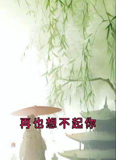 再也想不起你