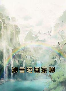柳雪昭周宴卿
