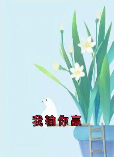 我输你赢