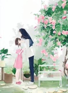 苏婉月苏婉嫣小说《再无冬日暖阳》全文阅读
