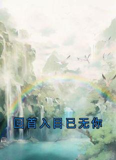 优质新书回首入目已无你最新章节小说全文阅读