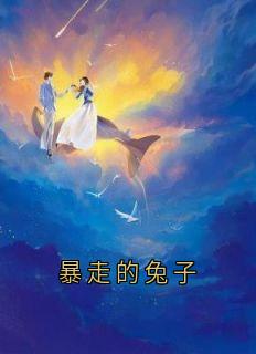 暴走的兔子