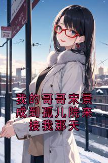 我的哥哥宋景成到孤儿院来接我那天