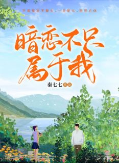 [抖音]小说沈宁嘉秦勉暗恋不只属于我