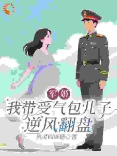 精彩小说军婚：我带受气包儿子逆风翻盘林一依贺屹川全章节在线阅读