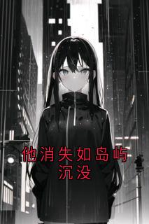 他消失如岛屿沉没
